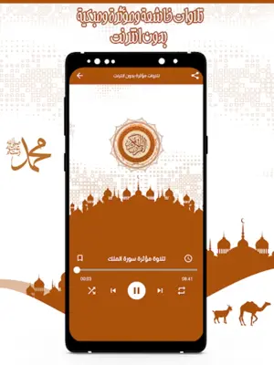 تلاوات مؤثرة ومبكية بدون نت android App screenshot 3